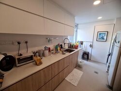 Signature Park (D21), Condominium #501777661